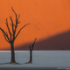 Illustration for article titled The best pictures from National Geographics Photo Contest 2014